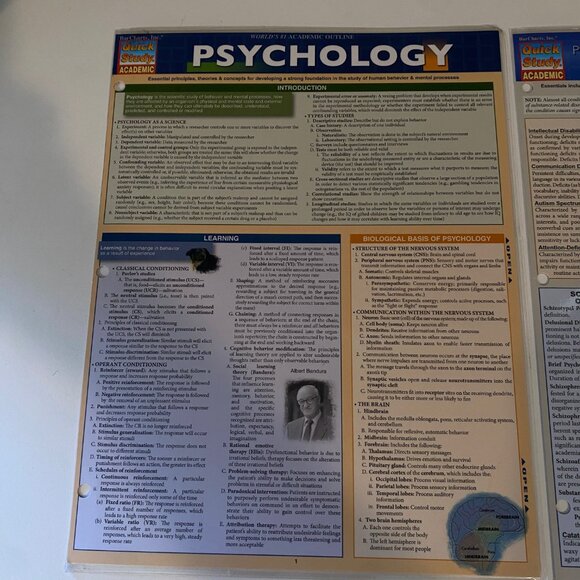 Set‎ of 2 Psychology Quick Study Guides DSM-5 & General Overview - Picture 3 of 5